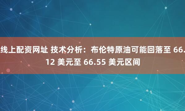 线上配资网址 技术分析：布伦特原油可能回落至 66.12 美元至 66.55 美元区间